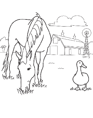 Kolorowanka koń i kaczka